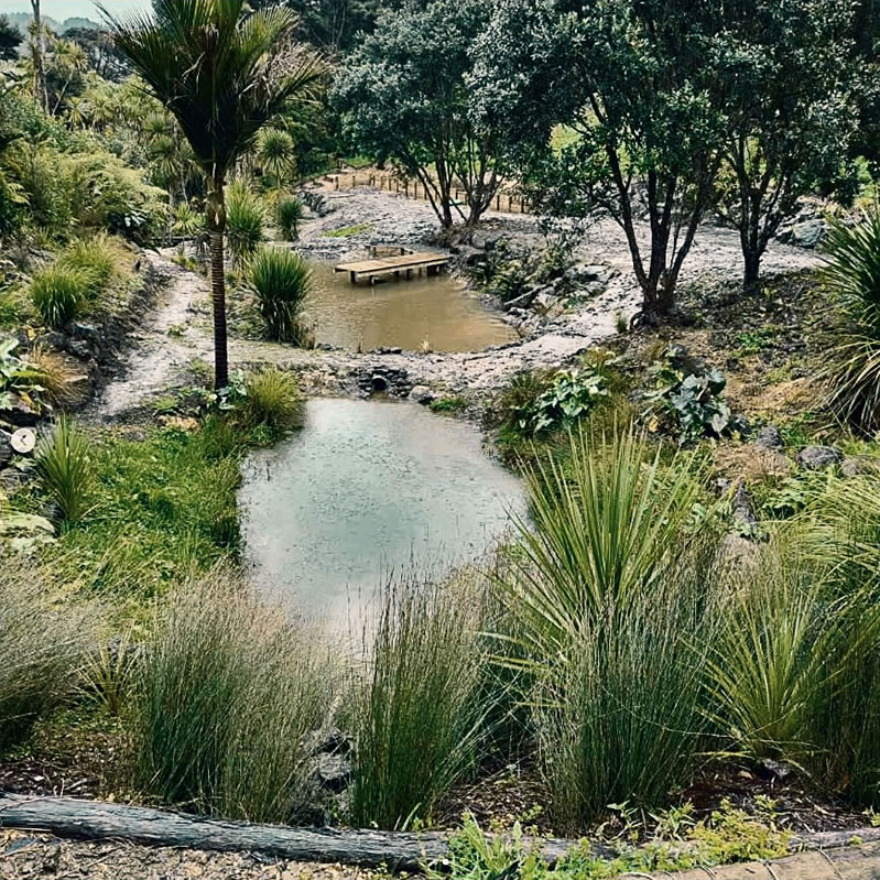 landscaping-northwest-auckland